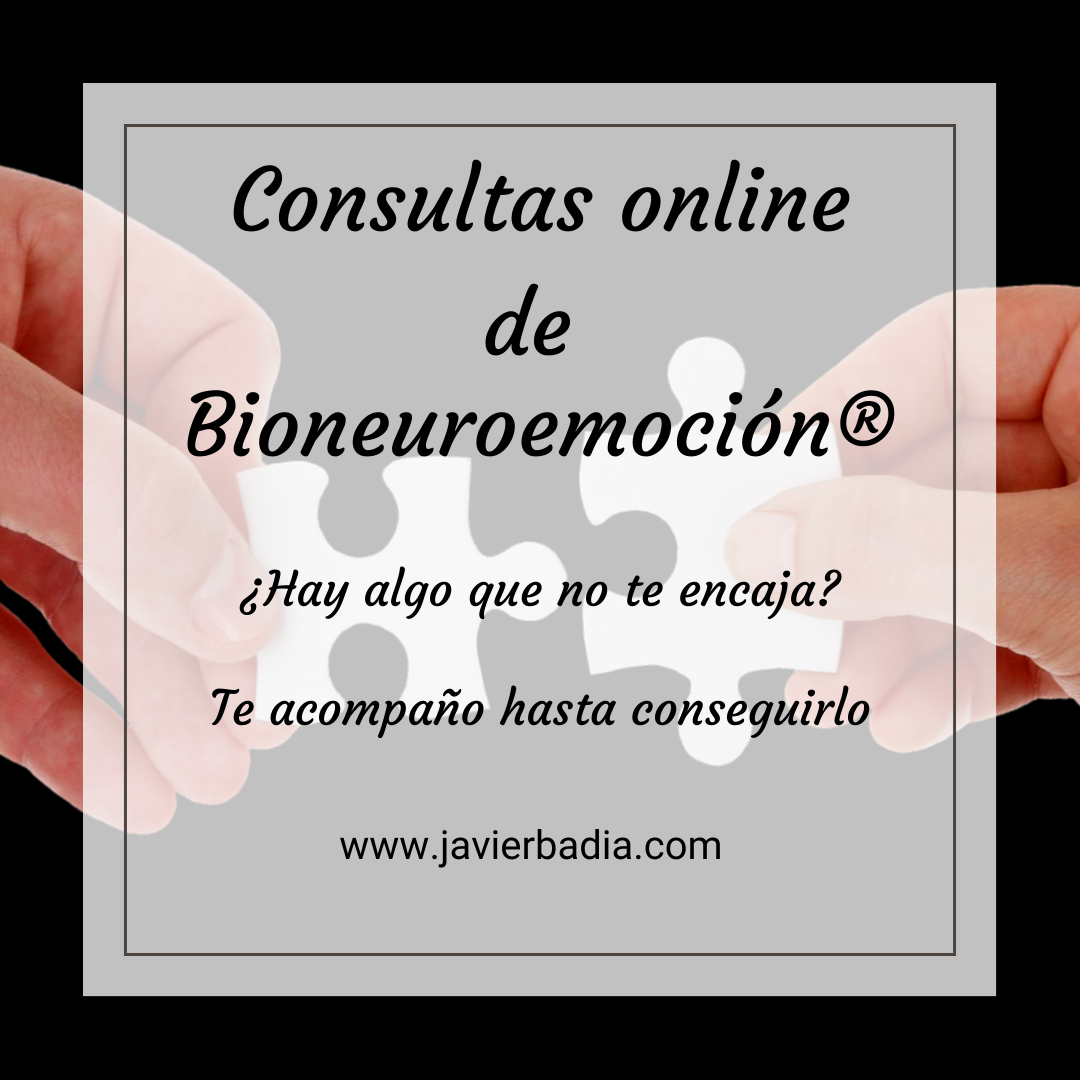 Consultas online de Bioneuroemocion