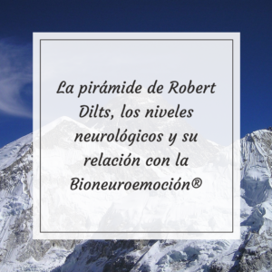 La pirámide de Robert Dilts, los niveles neurológicos y su relación con la Bioneuroemoción