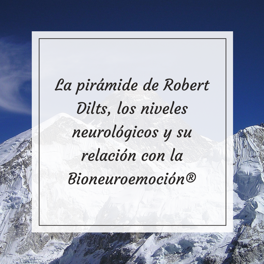 La pirámide de Robert Dilts, los niveles neurológicos y su relación con la Bioneuroemoción
